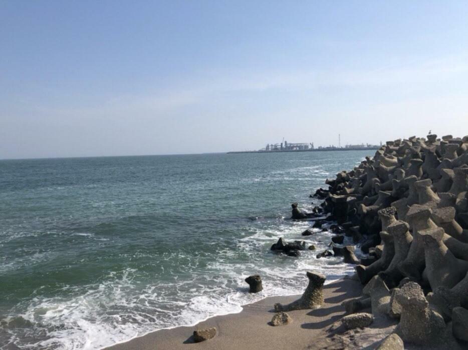 Morning Calm *